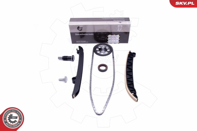Timing Chain Kit